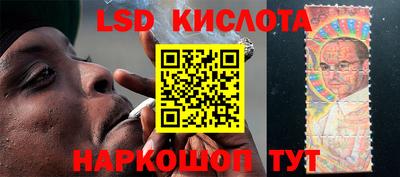крисы Кимры