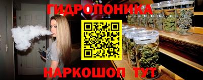 крисы Кимры