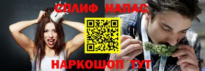 крисы Кимры