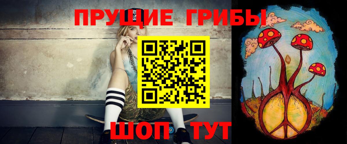 Псилоцибиновые грибы мицелий Кольчугино