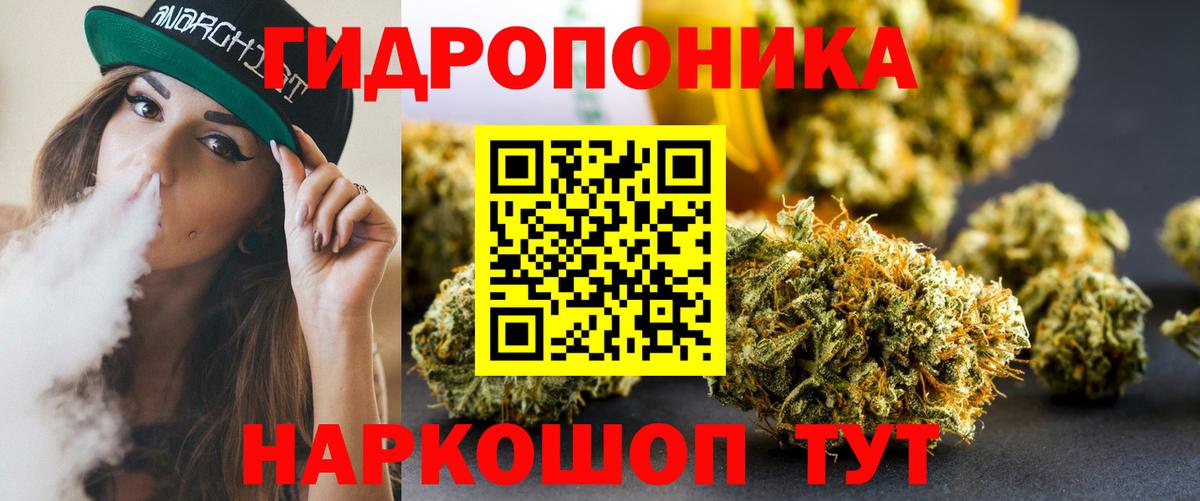 Кольчугино  Каннабис THC 21%  Бошки Шишки MAZAR  Шишки марихуана Amnesia  Марихуана планчик  Вход с VPN 